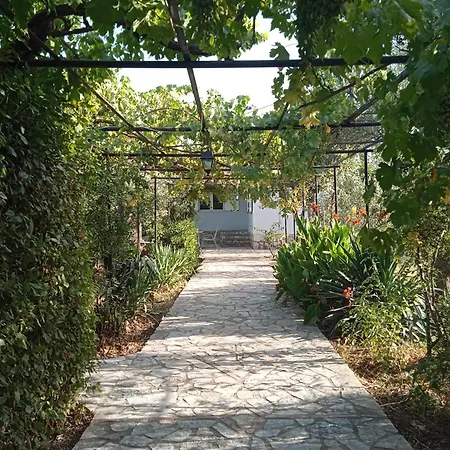 Vicino Al Mare Feriehus *